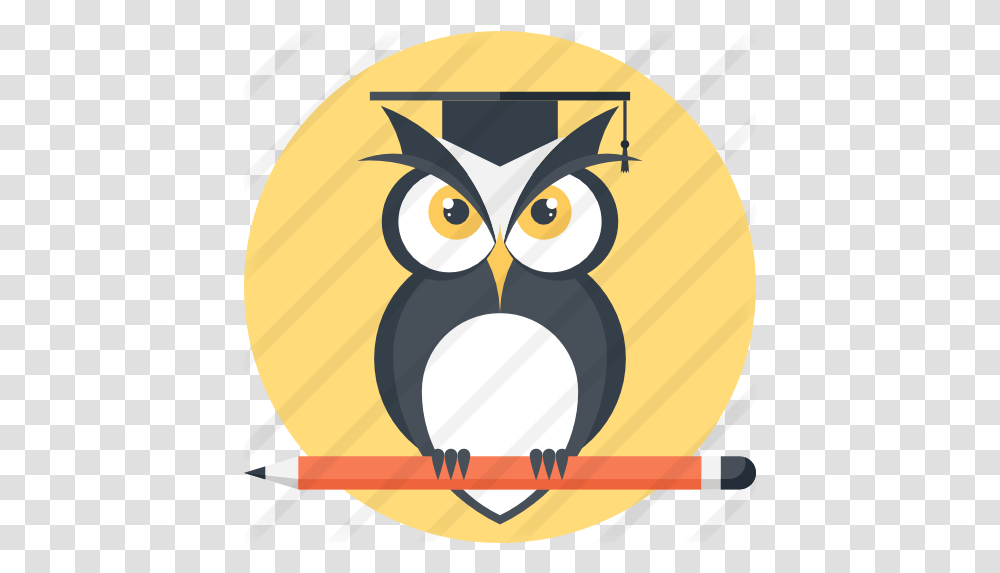 Owl Free Animals Icons School Owl Icon, Bird, Penguin, Graphics, Art Transparent Png