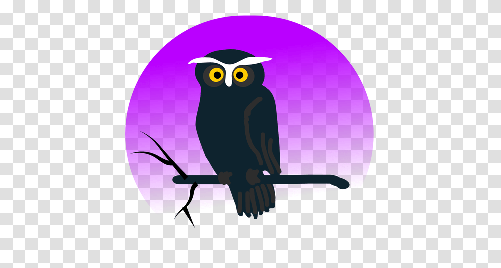 Owl Free Clipart, Bird, Animal Transparent Png