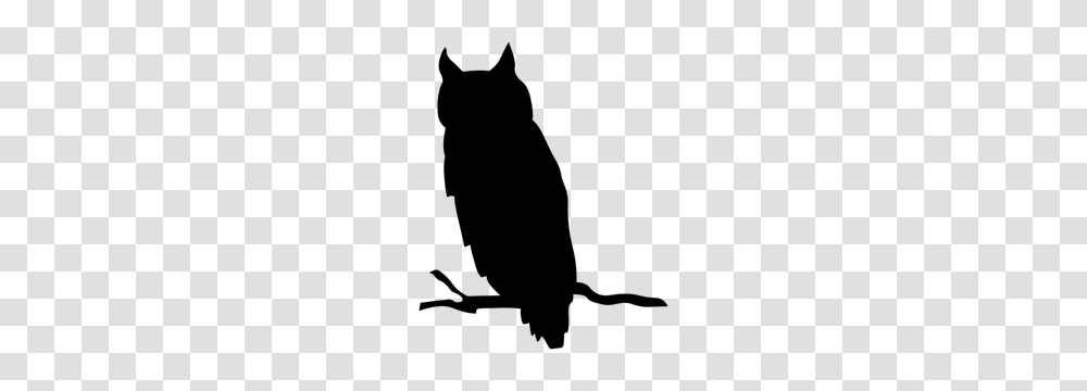 Owl Free Clipart, Gray, World Of Warcraft Transparent Png