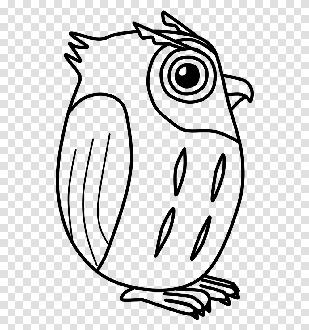 Owl, Gray, World Of Warcraft Transparent Png
