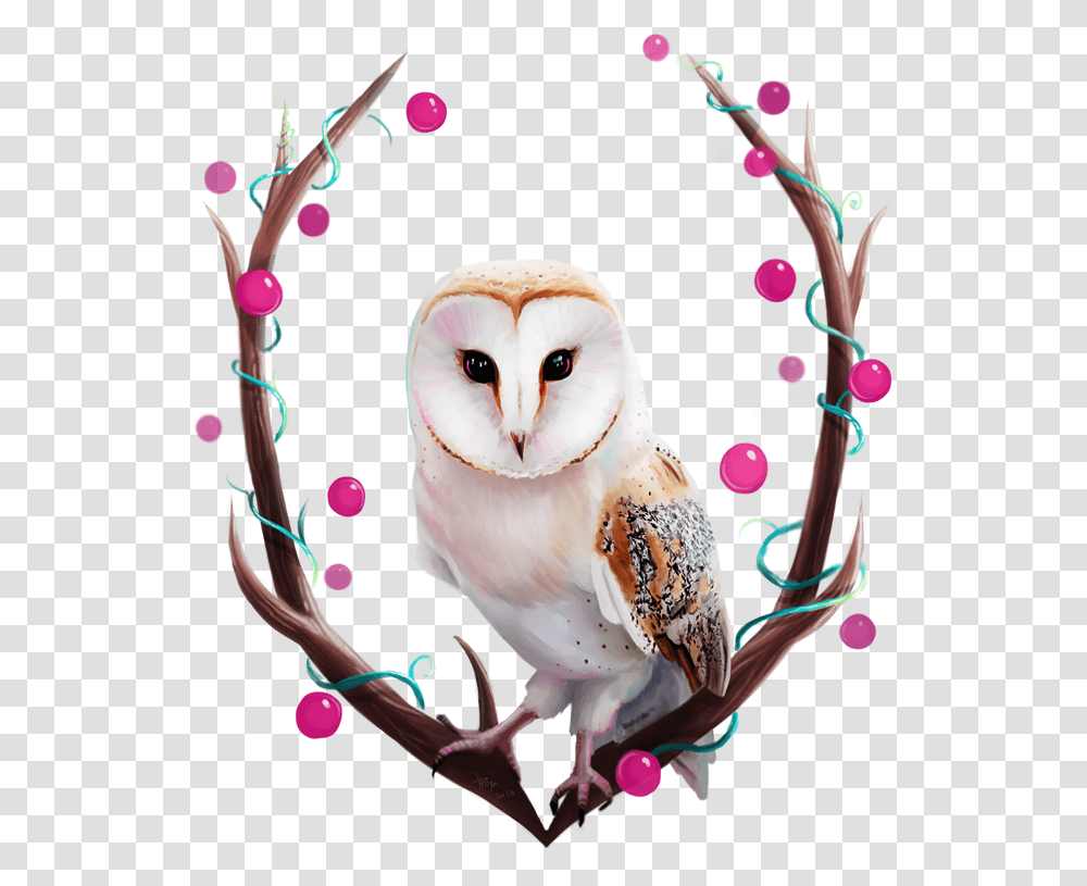 Owl Happy Birthday Barn Owl, Bird, Animal Transparent Png