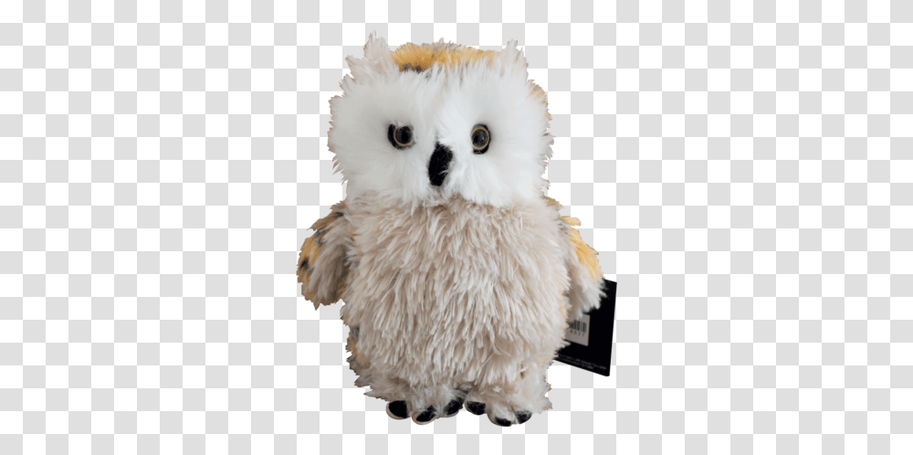 Owl Harry Potter And The Cursed Child Hedwig Stuffed, Chicken, Poultry, Fowl, Bird Transparent Png