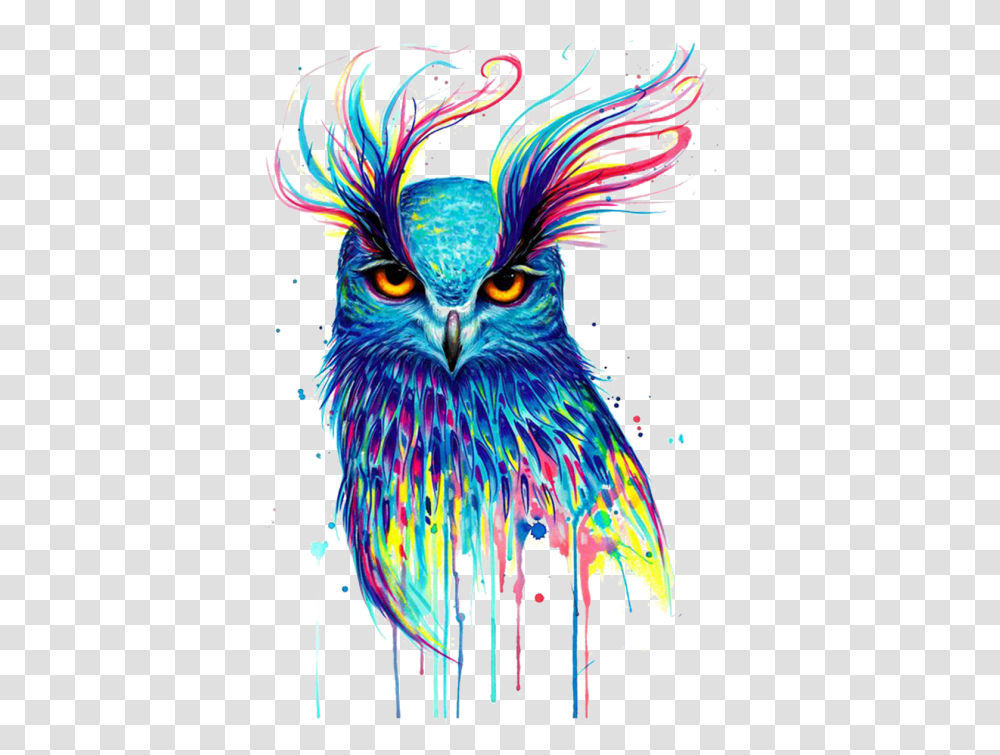 Owl Illustration Image Free Watercolor Owl, Graphics, Art, Pattern, Ornament Transparent Png