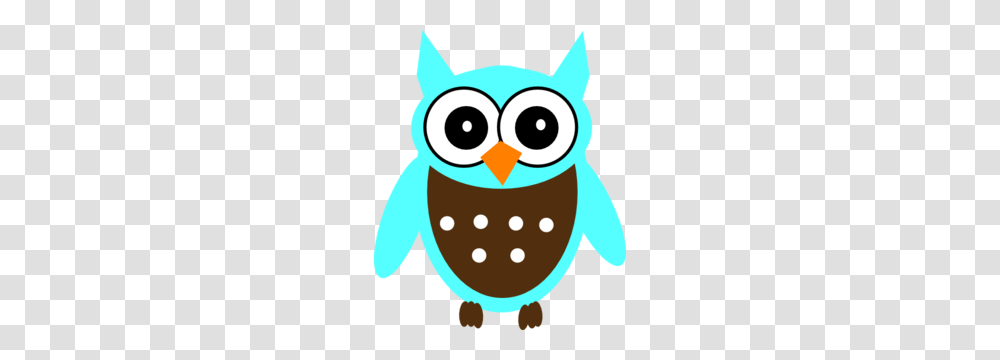 Owl Images Icon Cliparts, Animal, Penguin, Bird, Poster Transparent Png