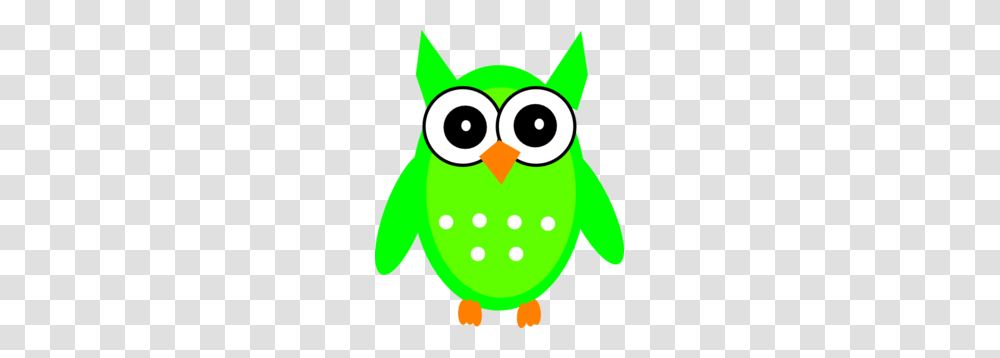 Owl Math Clipart, Penguin, Bird, Animal, Angry Birds Transparent Png