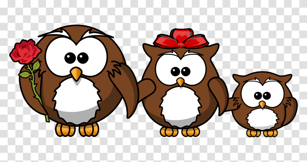 Owl Mediation Family Rosehall Lawyers, Mammal, Animal, Wildlife, Rodent Transparent Png