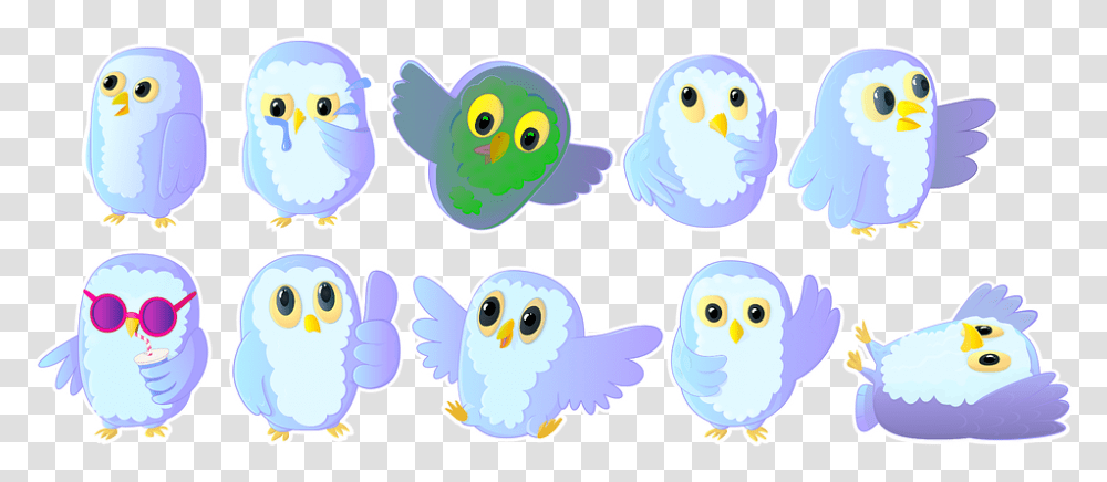 Owl Owls Bird Cartoon, Animal, Bluebird, Graphics, Astronomy Transparent Png