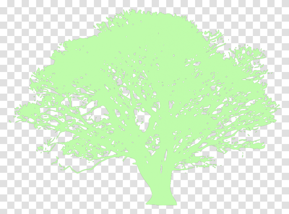 Owl Perched On Dead Tree Svg Clip Arts Kayu Malam Production, Plant, Vegetable, Food, Broccoli Transparent Png