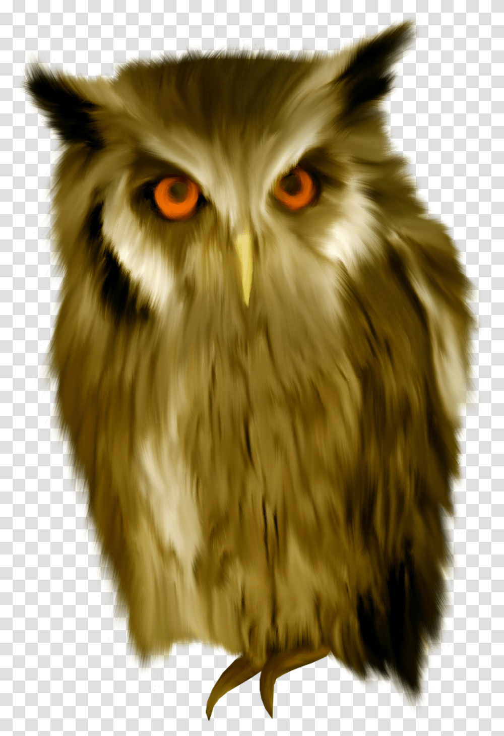 Owl Prey, Chicken, Poultry, Fowl, Bird Transparent Png