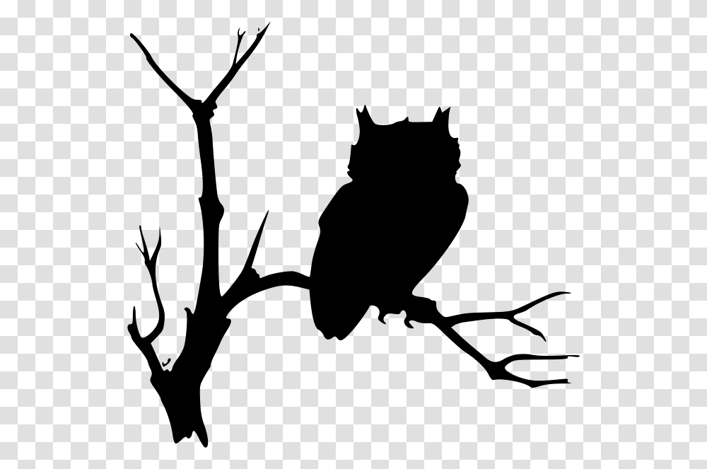 Owl Shilloutte On Limb Hogwarts Clipart Black And White Collection, Gray, World Of Warcraft Transparent Png