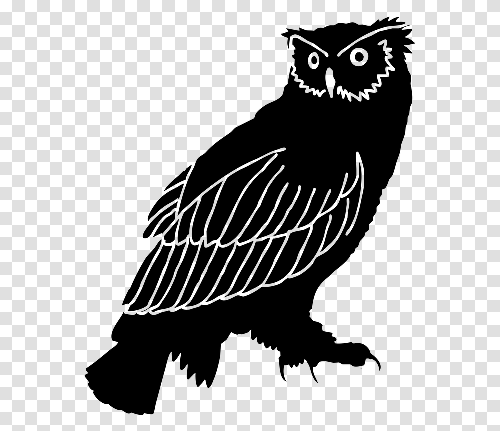 Owl Silhouette Bird Black And White Clip Art Great Horned Owl Silhouette, Gray, World Of Warcraft Transparent Png
