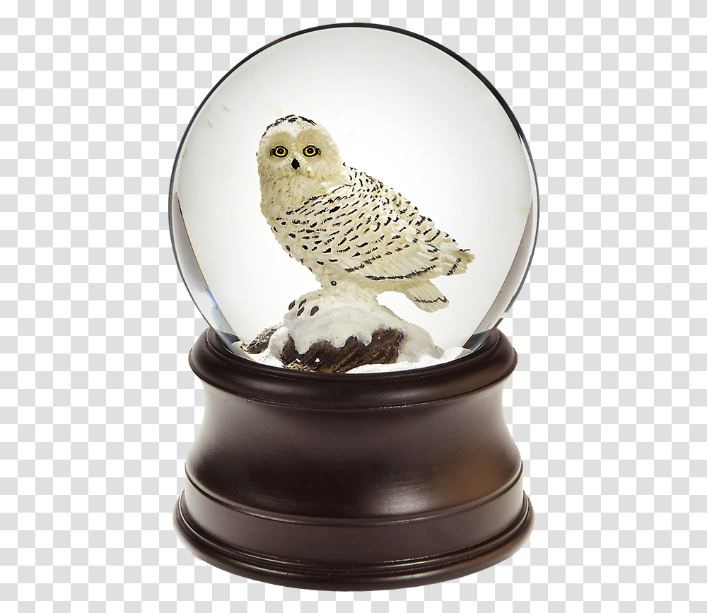 Owl Snow Globe, Bird, Animal, Figurine, Goblet Transparent Png