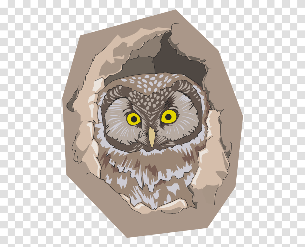 Owl Vertebrate Bird Of Prey Clipart Pajaro En Un Hueco De Un Arbol, Animal, Beak, Rug Transparent Png