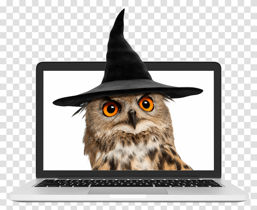 Owl Wearing A Wizard Hat Netbook, Pc, Computer, Electronics, Laptop Transparent Png