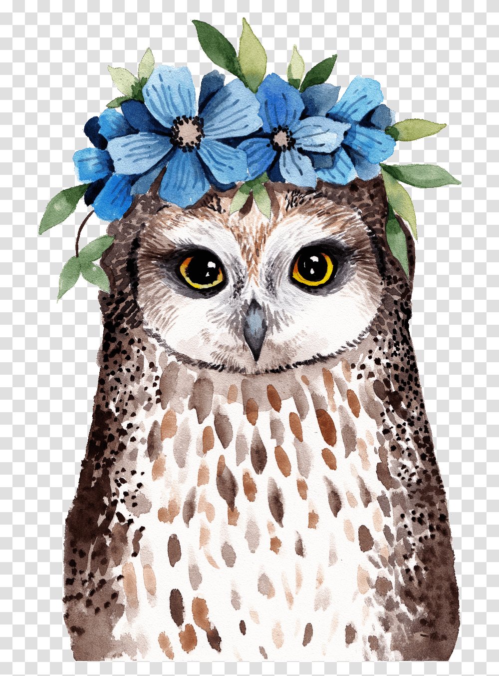 Owl Wearing Flowers Watercolor Owl Background, Bird, Animal, Rug, Plant Transparent Png