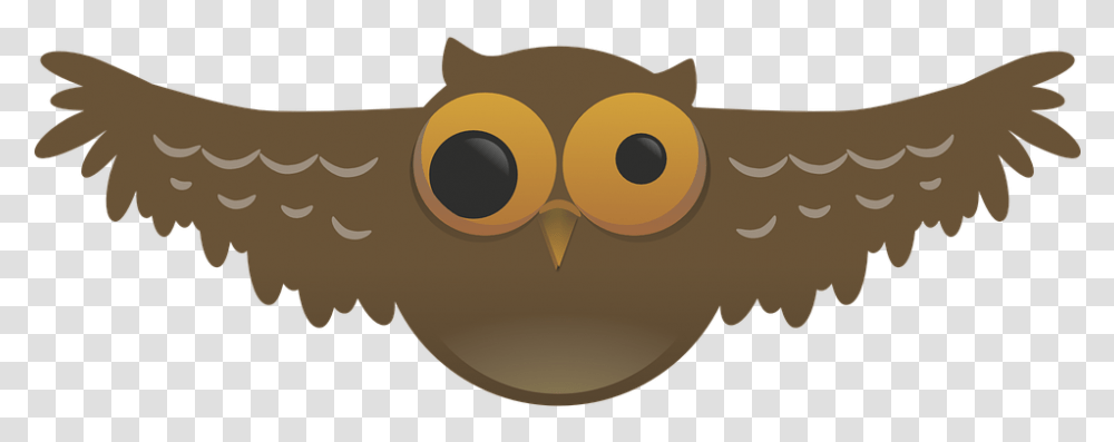 Owl Weird Bird Nocturnal Pupil Wide Flying Wings Flying Owl Pics Cartoon, Animal Transparent Png
