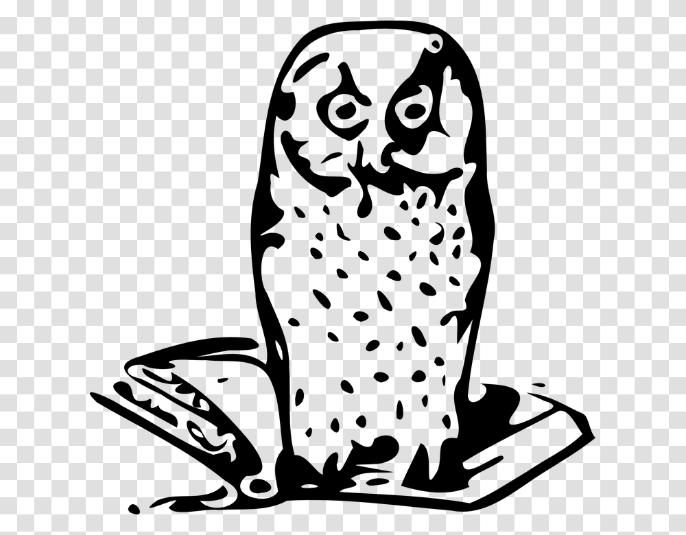 Owl Wise Wisdom Wise Old Owl Bird Knowledge, Gray, World Of Warcraft Transparent Png