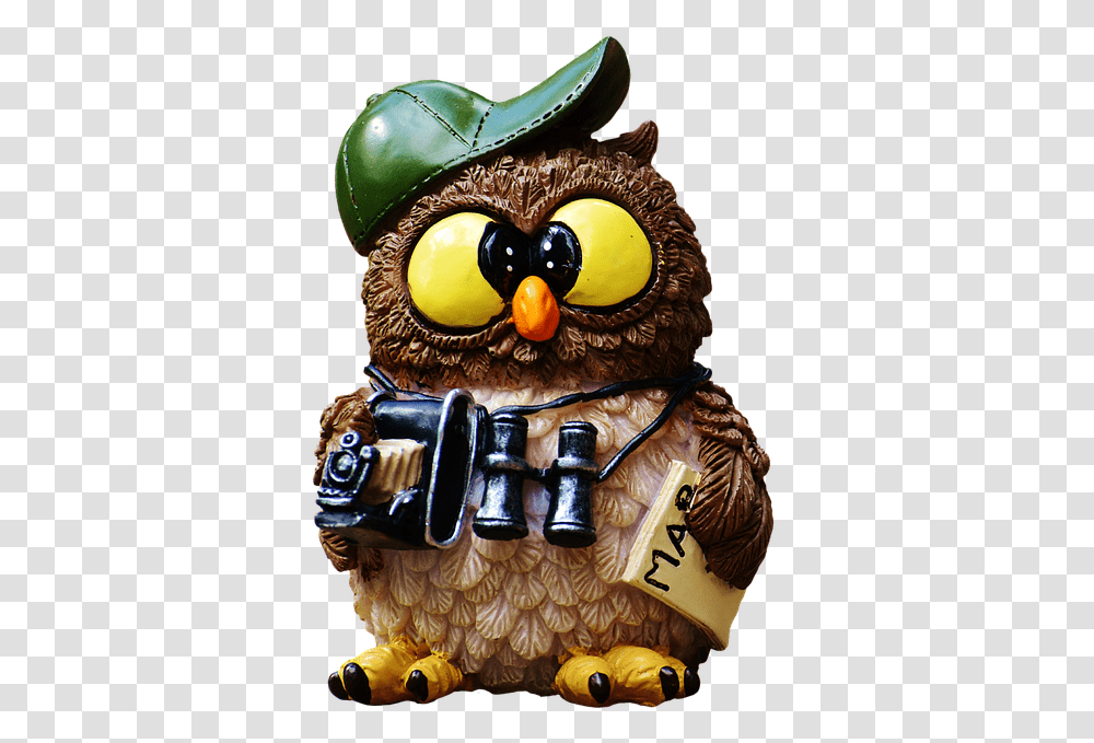 Owl With Binoculars, Dessert, Food, Sweets, Cake Transparent Png