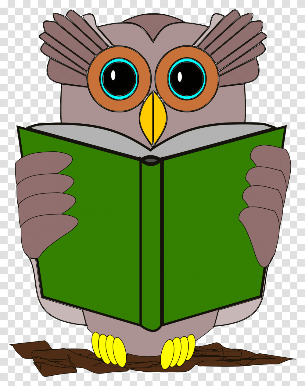 Owl With Book Clipart Svg Freeuse Library Clipart Animal Book Gif, Reading, Bird, Beak, Photography Transparent Png