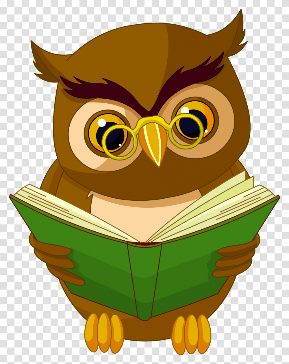 Owl With Book, Face, Goggles Transparent Png