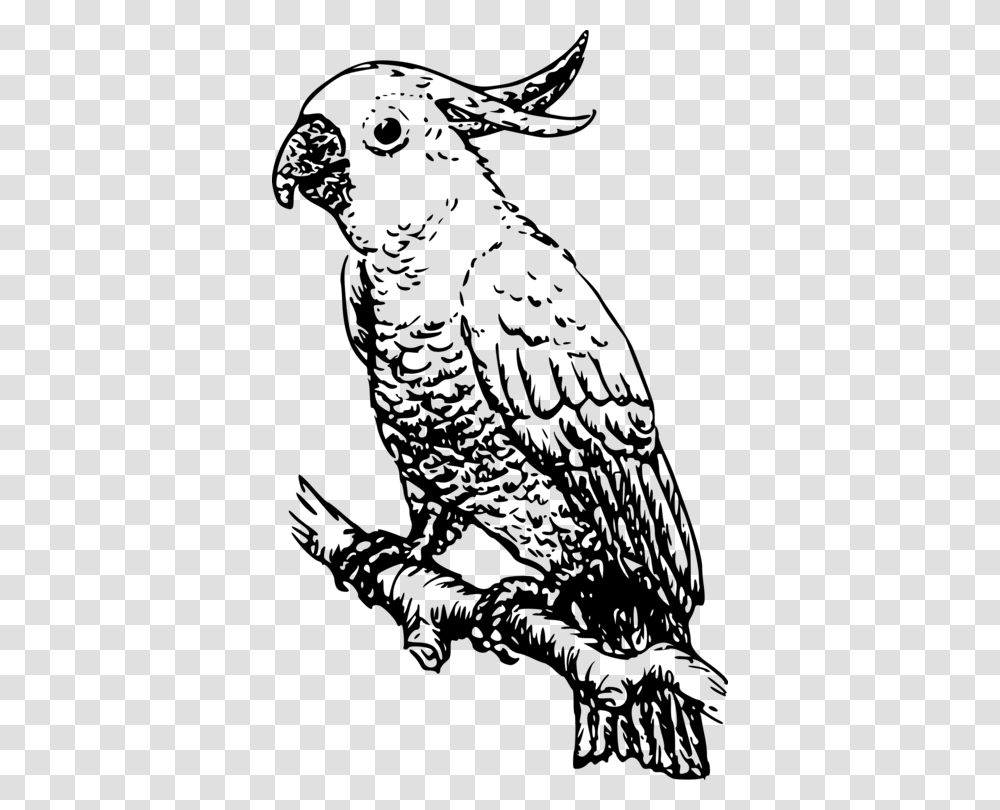 Owlartmonochrome Photography Cockatoo Black And White, Gray, World Of Warcraft Transparent Png