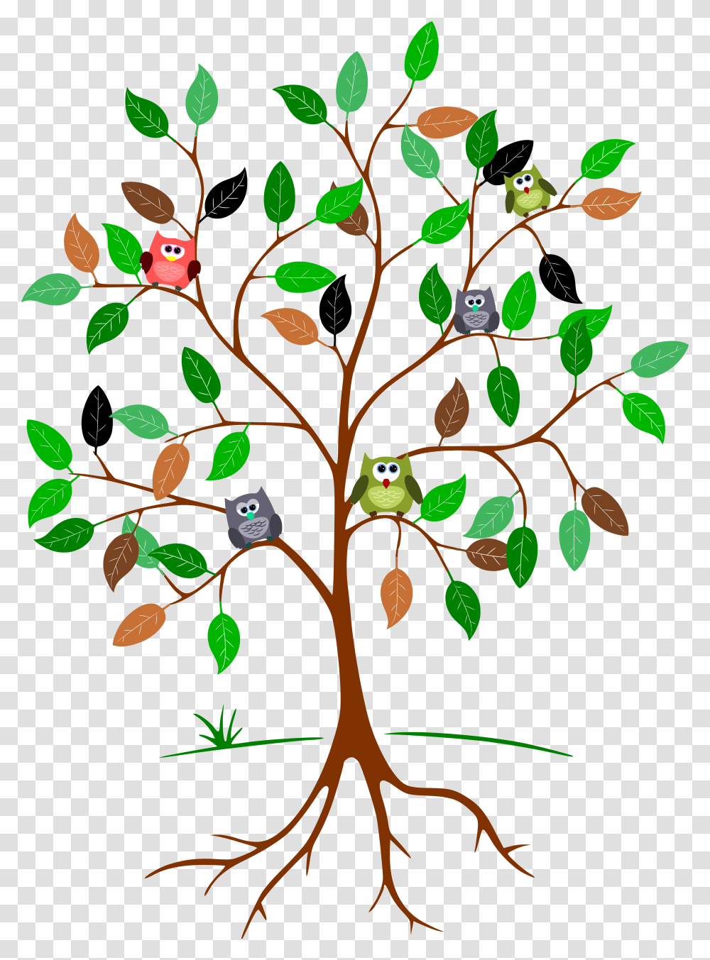 Owls In A Tree Clip Arts Tree With Roots And Leaves, Plant, Leaf, Bird, Animal Transparent Png