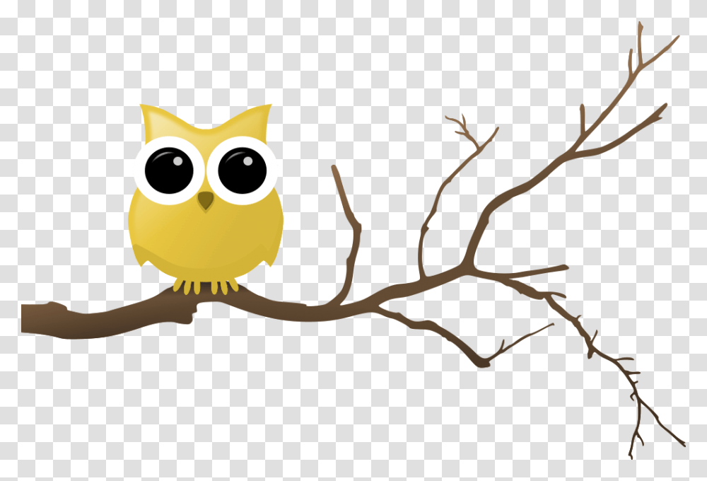 Owls In A Tree Owls In A Tree Images, Animal, Amphibian, Wildlife, Bird Transparent Png