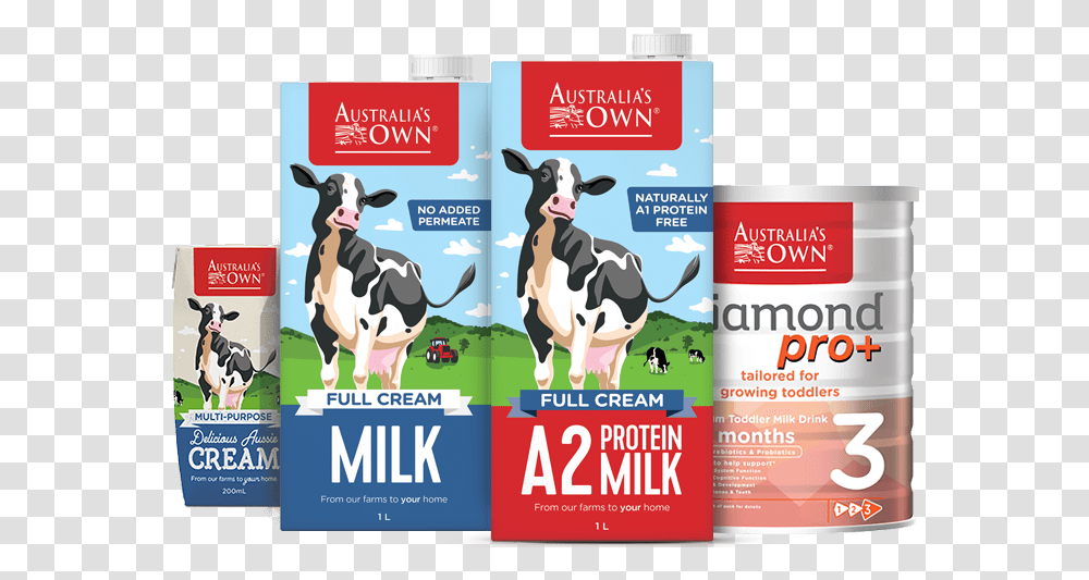 Own Full Cream Milk, Dairy Cow, Cattle, Mammal, Animal Transparent Png