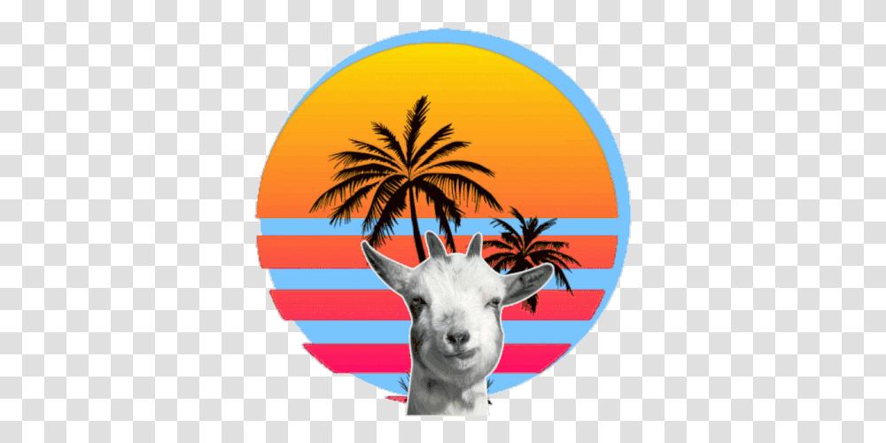 Owo Goat Sticker Owo Goat Chewing Discover & Share Gifs Tree Instagram Highlight Cover White, Mammal, Animal, Dog, Pet Transparent Png