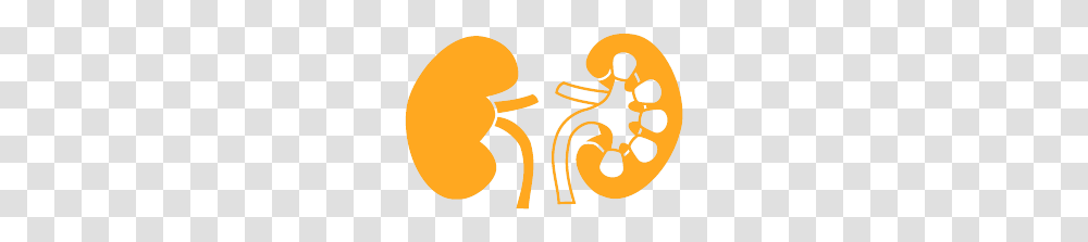 Oxford Kidney Unit, Logo, Trademark Transparent Png