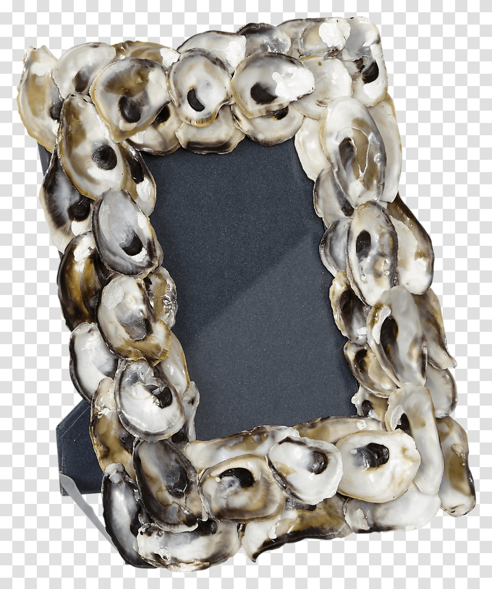 Oyster Photo Frame Bracelet, Sea Life, Animal, Invertebrate, Seashell Transparent Png