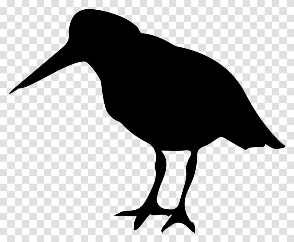 Oystercatcher Bird Of Coasts Silhouette Oyster Catcher, Blow Dryer, Appliance, Hair Drier, Animal Transparent Png