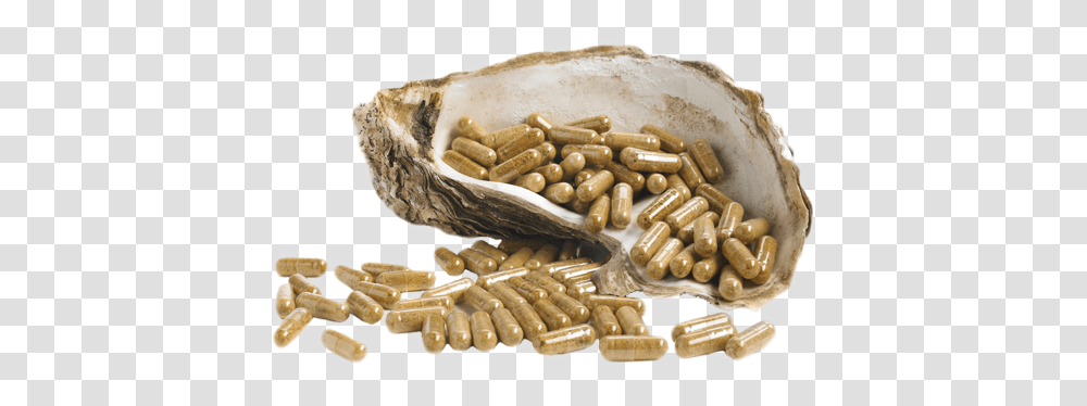 Oystermax Seed, Food, Medication, Pill, Clam Transparent Png