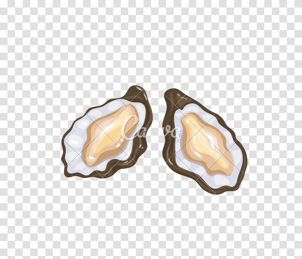 Oysters Vector Icon, Sea Life, Animal, Invertebrate, Seashell Transparent Png