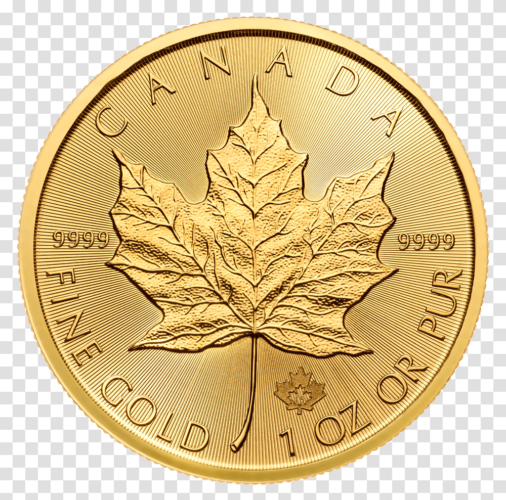 Oz Maple Leaf Gold Coin 2018 2 Maple Leaf 1 Oz Gold, Plant, Money, Bronze Transparent Png