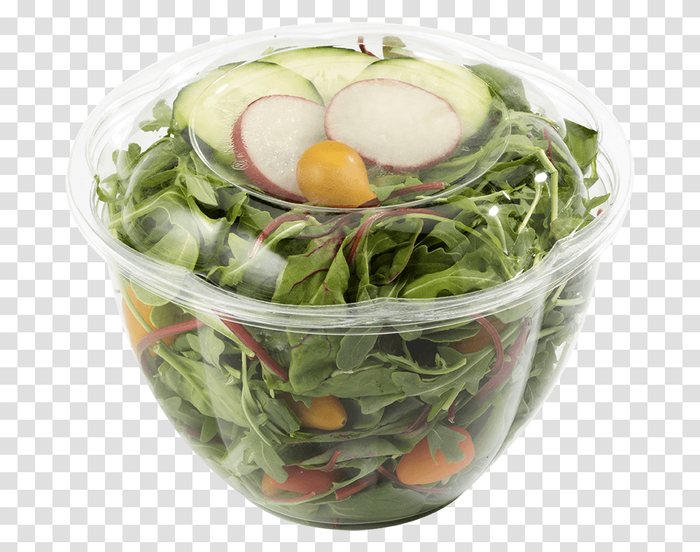Oz World Centric Clear Salad Bowl Salad Bowl, Plant, Egg, Food, Jar Transparent Png