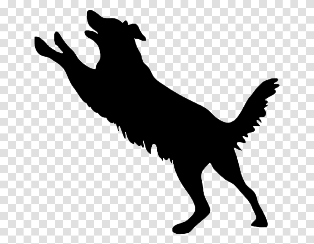 P P B St John, Animal, Reptile, Dinosaur, Antelope Transparent Png