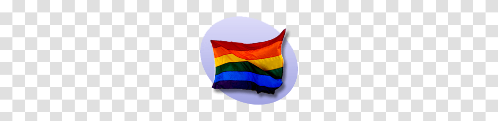 P Rainbow Flag, American Flag, Cushion Transparent Png