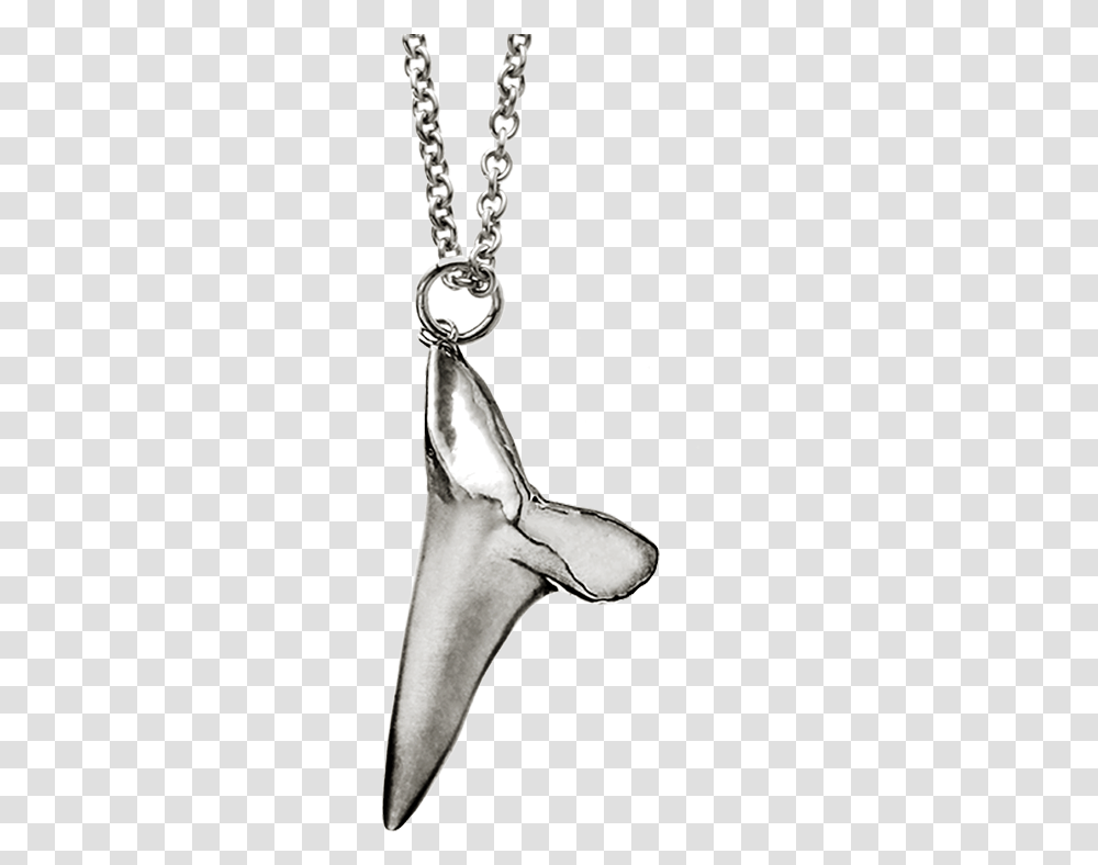 P Sharktooth Pendant Side New Y V2 Newest Ss Necklace, Sea Life, Animal, Apparel Transparent Png
