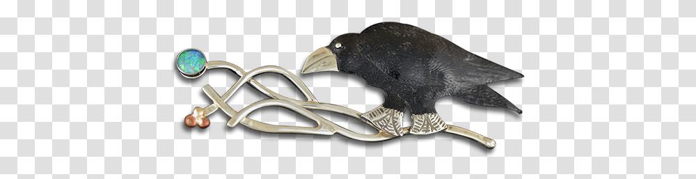 P0163 Parrot, Weapon, Weaponry, Blade Transparent Png