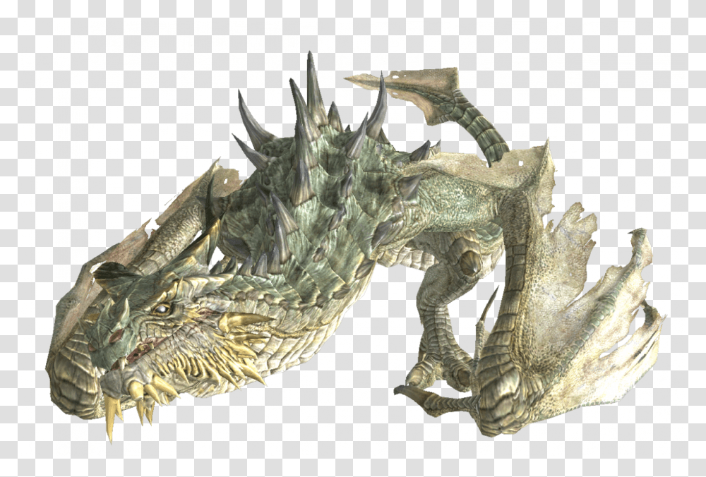 Paarthurnax, Dragon, Bird, Animal, Turtle Transparent Png