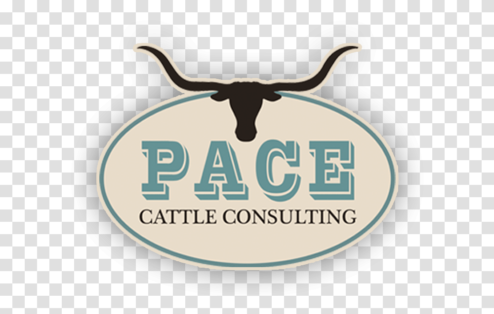 Pace Cattle Consulting Longhorn Icon, Label, Text, Antelope, Mammal Transparent Png
