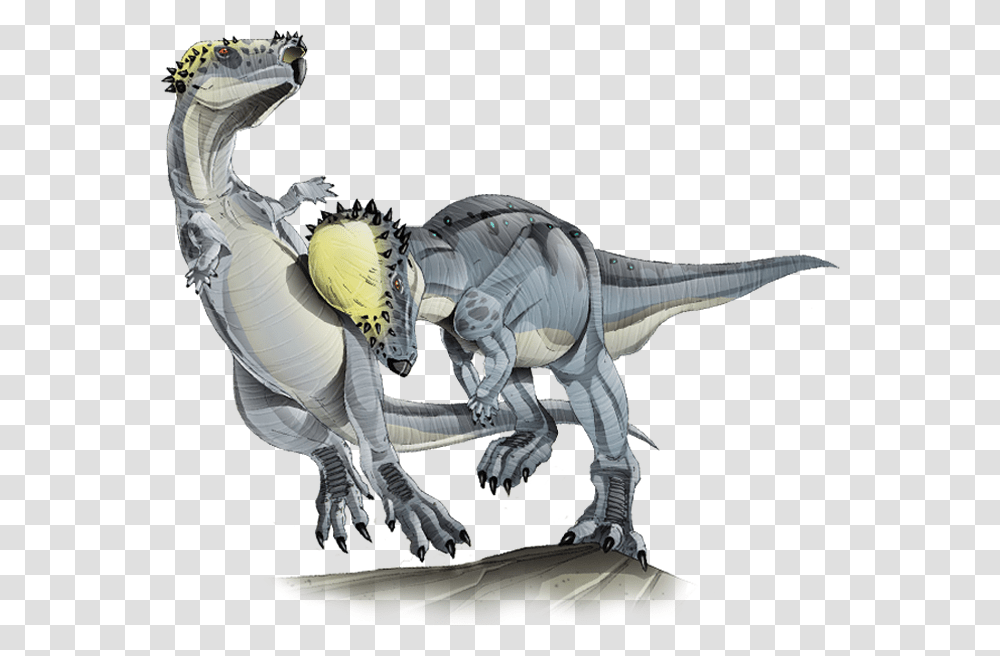 Pachycephalosaurus Pachycephalosaurus Size, Person, Human, Dinosaur, Reptile Transparent Png
