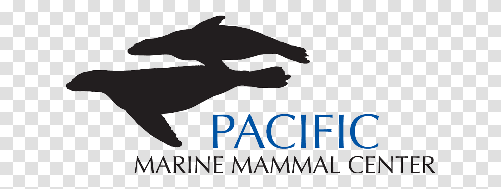 Pacific Marine Mammal Centre, Sea Life, Animal, Alphabet Transparent Png