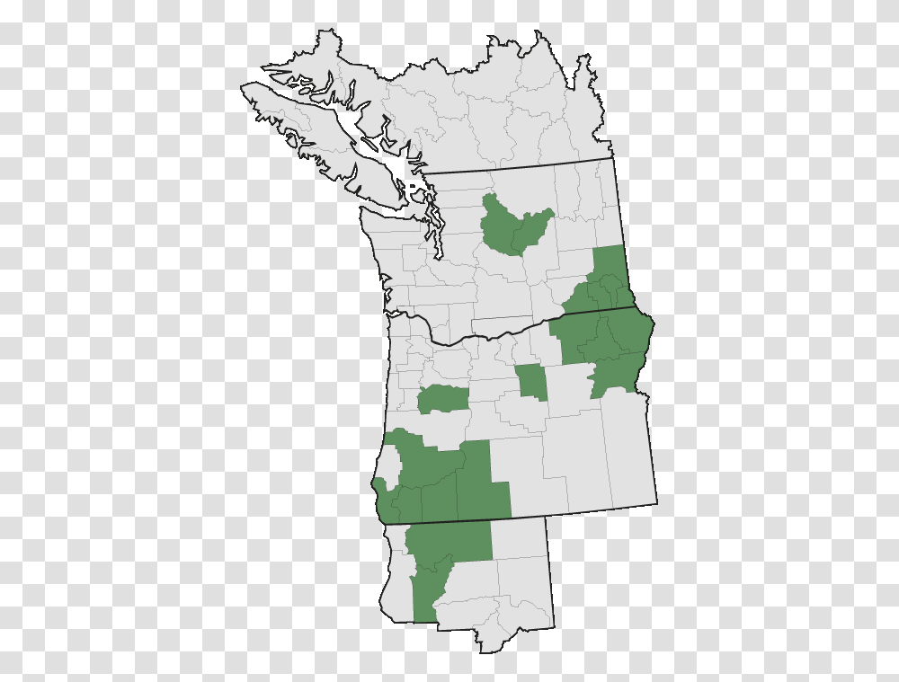 Pacific Northwest, Map, Diagram, Atlas, Plot Transparent Png