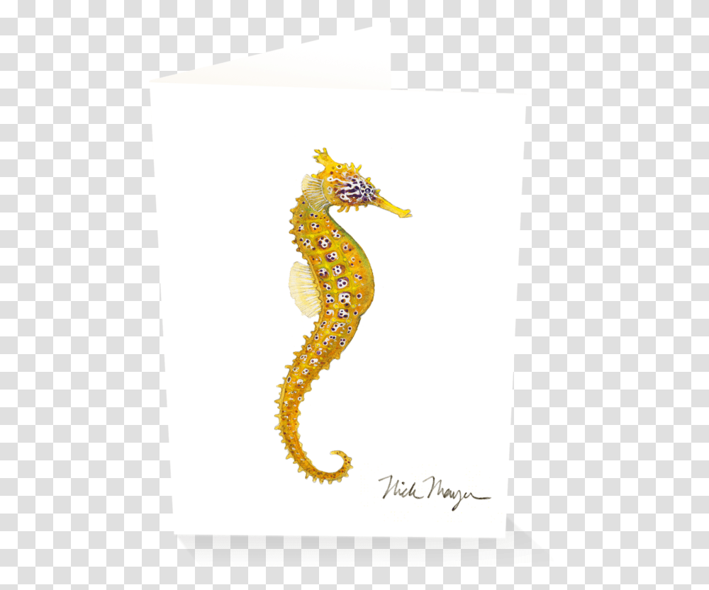 Pacific Seahorse I Northern Seahorse, Sea Life, Animal, Mammal Transparent Png