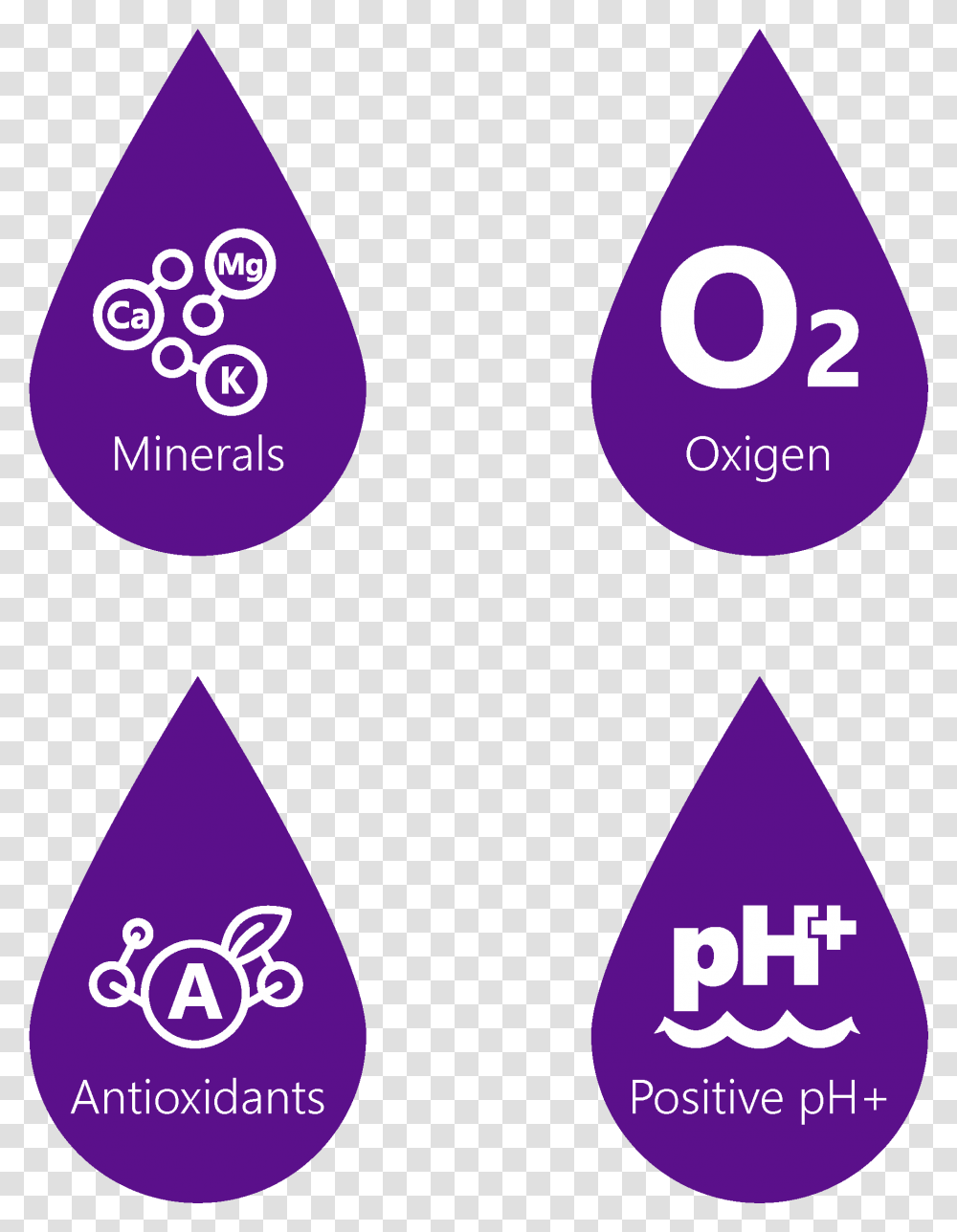 Pack Alkaline Water Filter Dot, Purple, Triangle, Text, Lighting Transparent Png