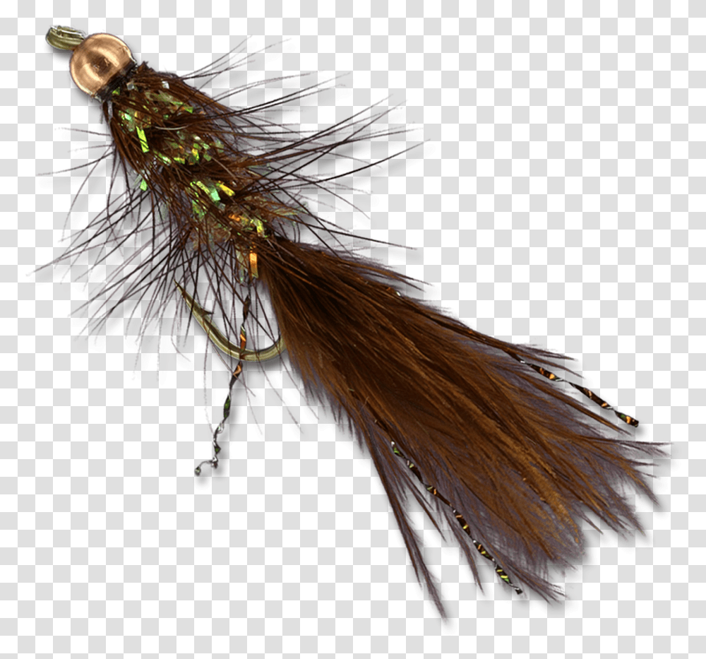 Pack Crystal Bugger Beadhead Black Streamer Fly Fishing Insect, Bird, Animal Transparent Png
