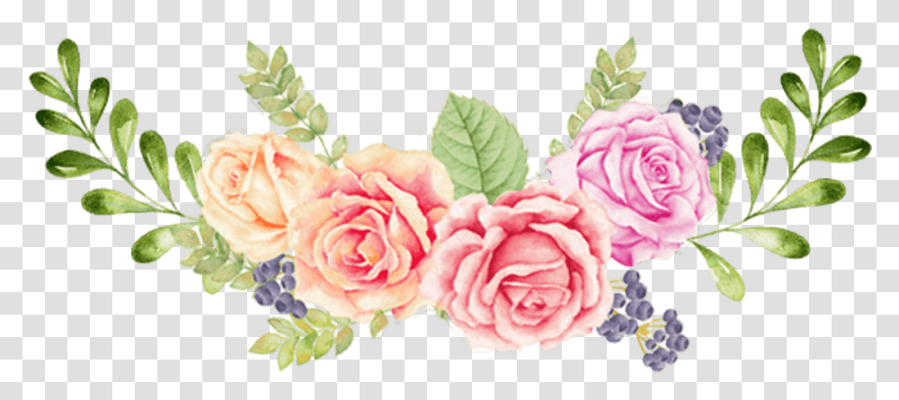 Packages Flower Free Download, Plant, Rose, Blossom, Petal Transparent Png