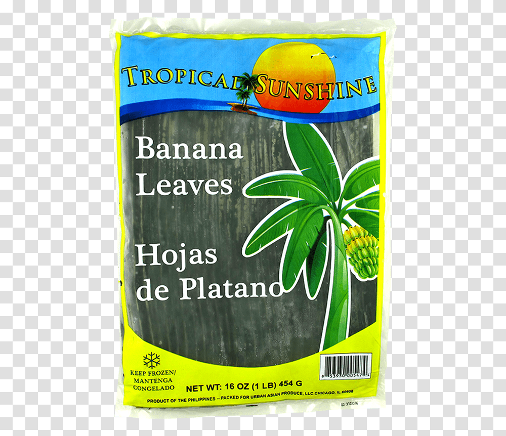 Packaging And Labeling, Plant, Paper, Flyer, Poster Transparent Png